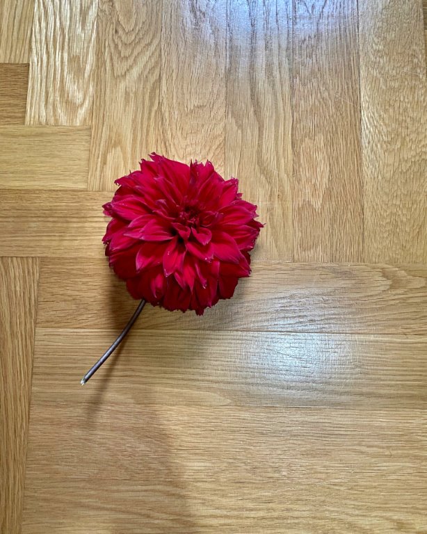 Hrastov parket - uzorak 3